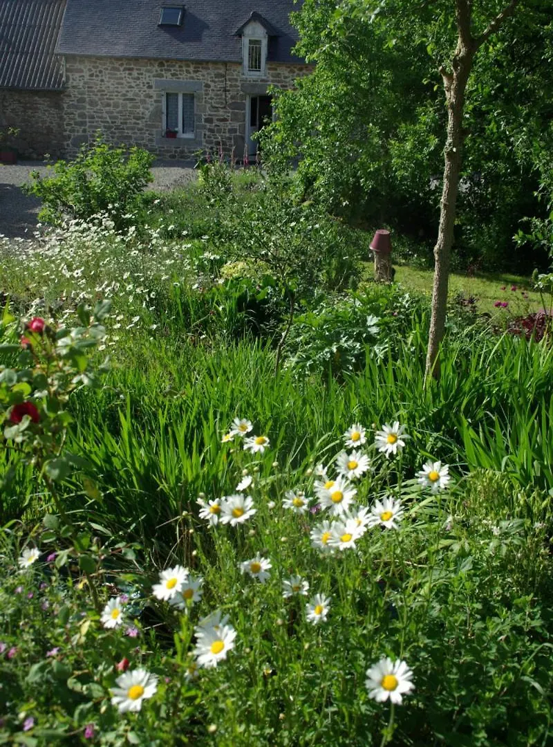 Maison Au Calme En Pleine Nature A Bourbriac Feriehus