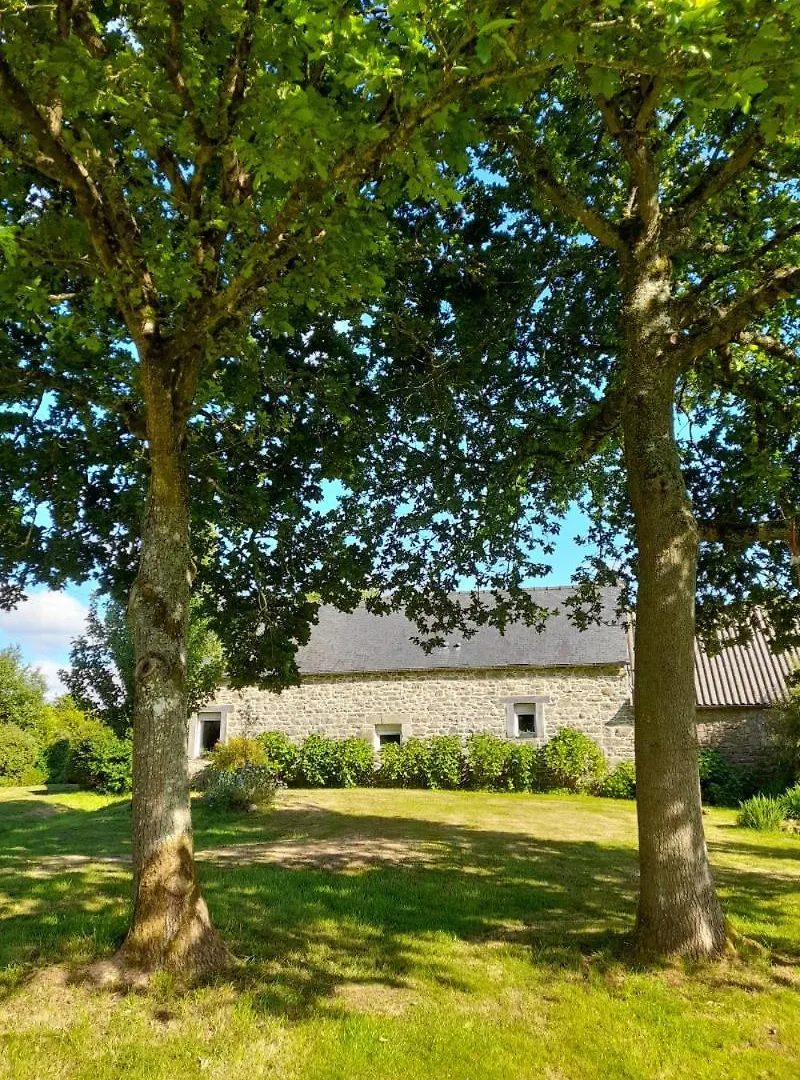 Maison Au Calme En Pleine Nature A Bourbriac